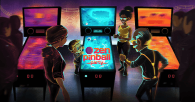 Zen pinball party couverture