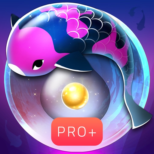 Zen Koi Pro+ 1 Zen Koi Pro 1
