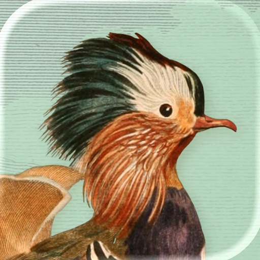 Art of Fauna Cozy Puzzles