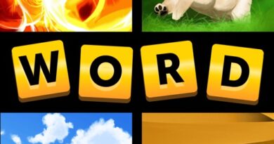 4 Pics 1 Word